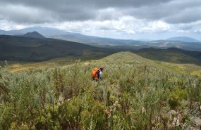 Mount Kenya Naro Moru route